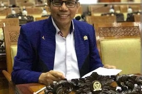 Hinca Pandjaitan Kontroversi bahkan Ironi : Mewakili Siapa di Mahkamah Konstitusi?